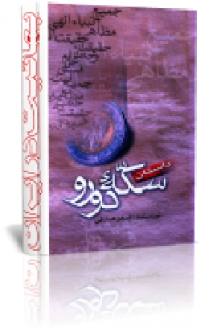 سکه ی دو رو